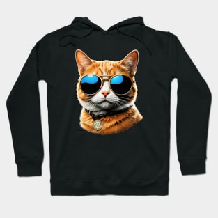 Bitcoin cat with sunglasses Hoodie